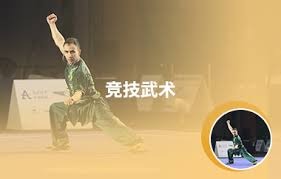 [网球]比利时队晋级戴维斯杯四强