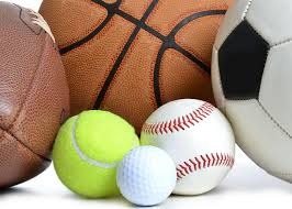 棒球青训商业化是否可行