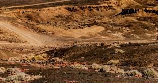 23胜12负却一打强队就崩？湖人再次惨败马刺，攻防短板已被摸透